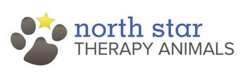 North Star Therapy Animals 